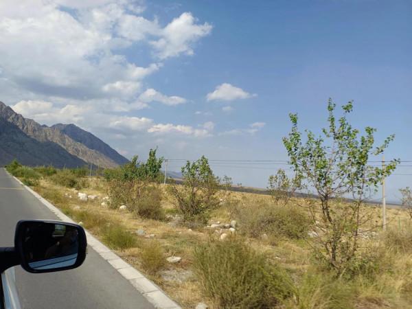 處在這樣尷尬的階段,該何去何從 處在這樣尷尬的階段,該何去何從