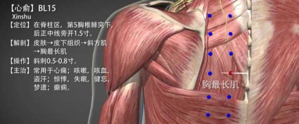 心俞穴—改善心功能 心俞穴—改善心功能