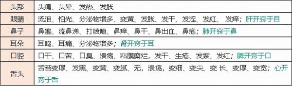 呼吸系統常見疾病及用藥指導