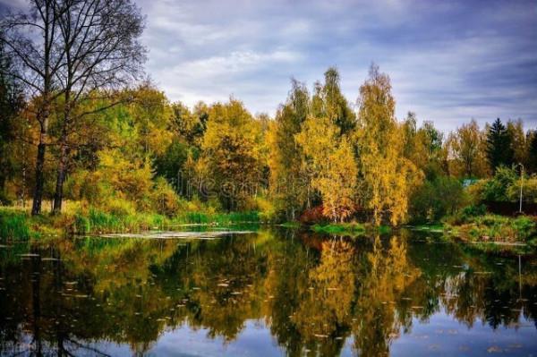 吸引力法則：賺大錢要“無為而為”