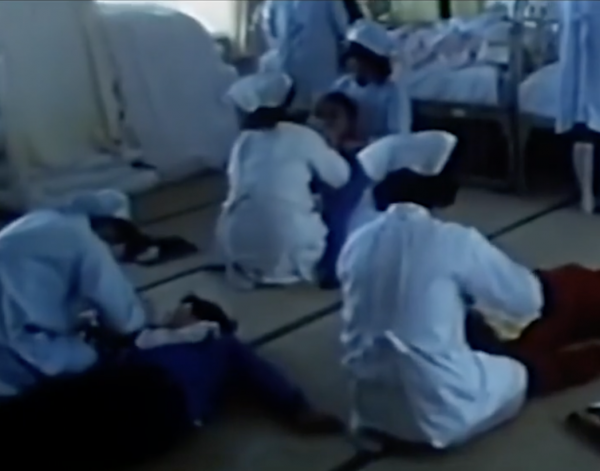 幾萬只貓排隊跳海自盡，連人類也不能倖免，喪屍真的存在嗎？