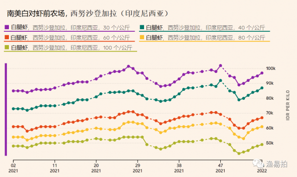 印尼的蝦價格在4周進一步上漲