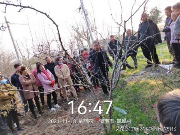 花椒樹管理連續劇二 |水肥氣光與花椒生長的關係