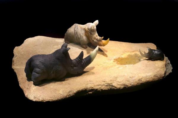 2021年“玉星獎”獲獎作品欣賞