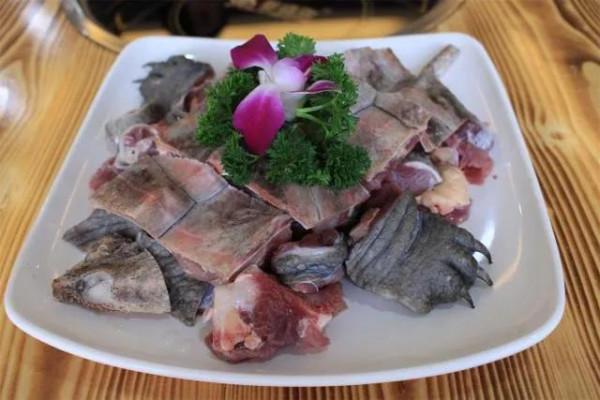 北美大鱷龜在我國多省出現,長江或已“失守”,吃貨能解決它嗎? 北美大鱷龜在我國多省出現,長江或已“失守”,吃貨能解決它嗎?