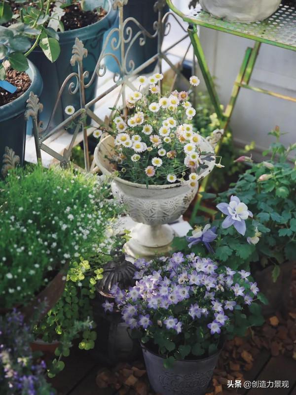 5平米的陽臺，改造之後種滿了花，居然可以美成這樣