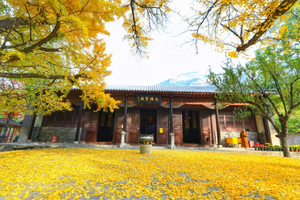 古剎金秋 醉美靈巖｜濟南靈巖寺的深秋，五彩斑斕，已美成油畫！