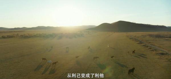 連追兩集《輸贏》，我難掩激動，終於有一部像樣的職場商戰劇了