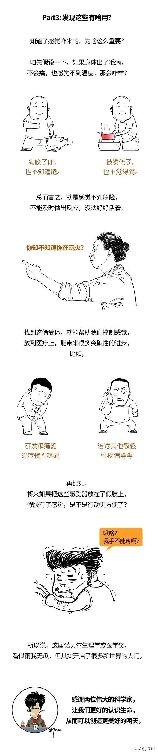 看了諾貝爾生理學或醫學獎，感覺很奇妙！吃辣椒也能得獎？