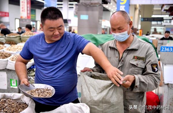 雲南昆明中藥材市場價格行情 9月18日 蘭茂藥材網
