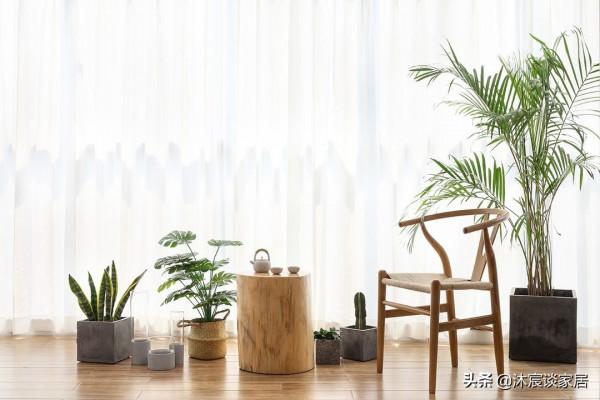 第二次裝修，她選擇了日式原木風，這種簡單又治癒的氛圍讓人心安