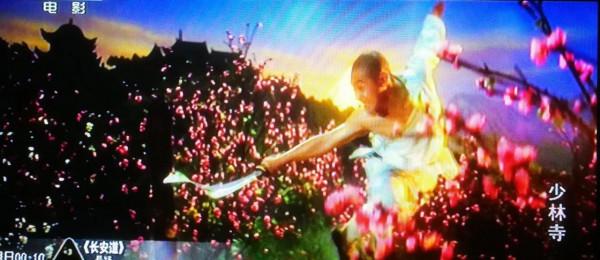 《少林寺》——青春的記憶 《少林寺》——青春的記憶