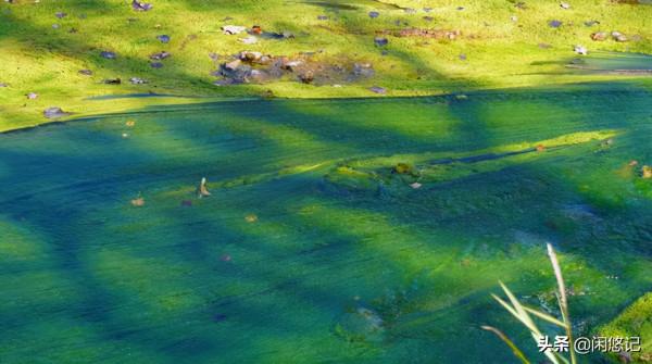 本想獨擁一山紅葉,無意中卻發現汝州大峪火石溝一處山水秘境 本想獨擁一山紅葉,無意中卻發現汝州大峪火石溝一處山水秘境