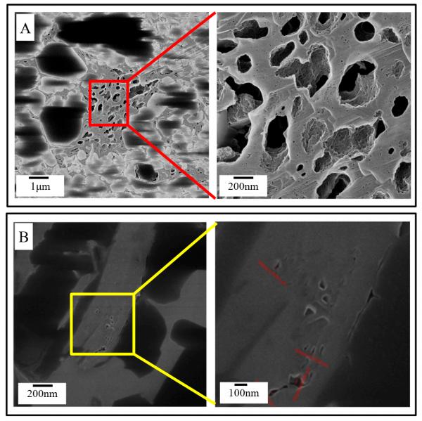 全球前1%!近日,四川這位博士獲得國際認可,成果登頂級期刊 全球前1%!近日,四川這位博士獲得國際認可,成果登頂級期刊