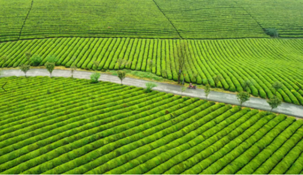 2022貴州主題旅行打卡清單出爐！請收藏