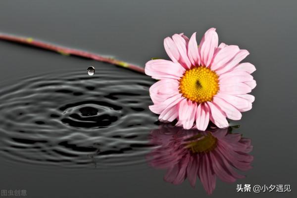 微型劇本:退份子錢 微型劇本:退份子錢