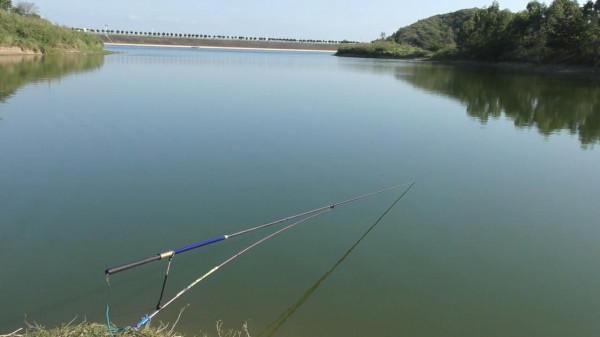 適合新手使用魚竿盤點，好用價效比高，20斤無壓力