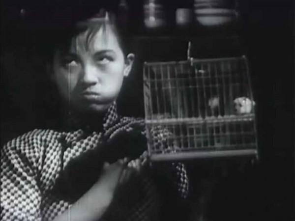 即將消失的中國養鳥文化:古代進貢皇家的繡眼鳥是暗綠還是紅肋? 即將消失的中國養鳥文化:古代進貢皇家的繡眼鳥是暗綠還是紅肋?