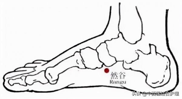 「穴位養生」教你開啟你身上的“天然大藥庫”