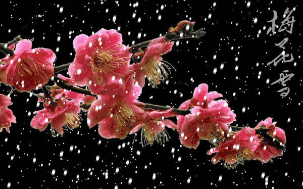 有愛的冬天，無言也暖