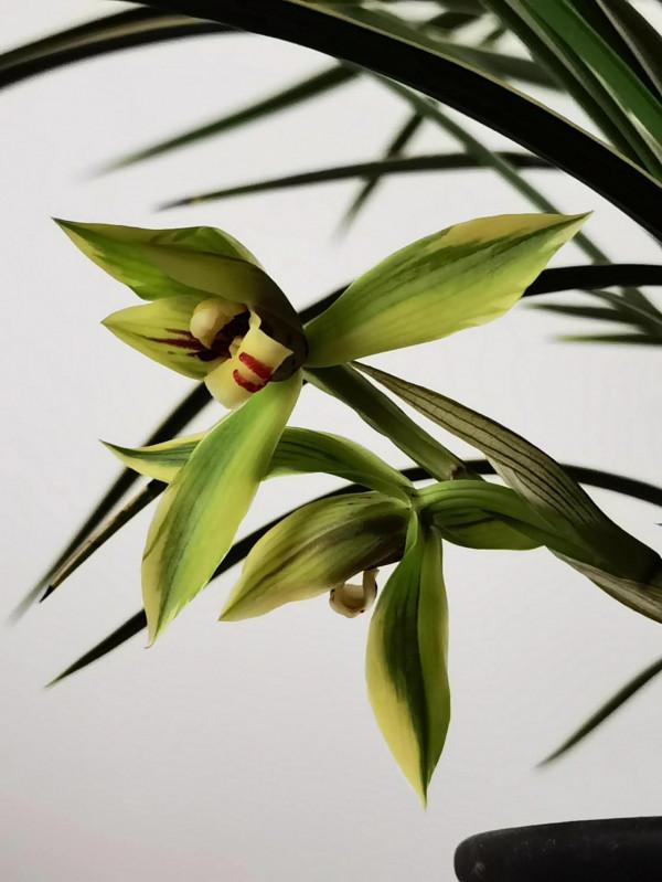 你眼中的友情是啥樣子