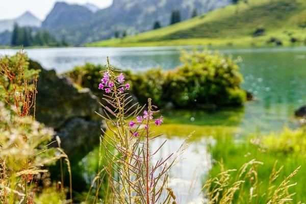 白羊座周運勢9.20-26，有貴人相助，財運不會差，多聽前輩的建議