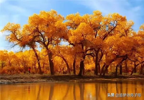 問道《道德經》「第二十六章」