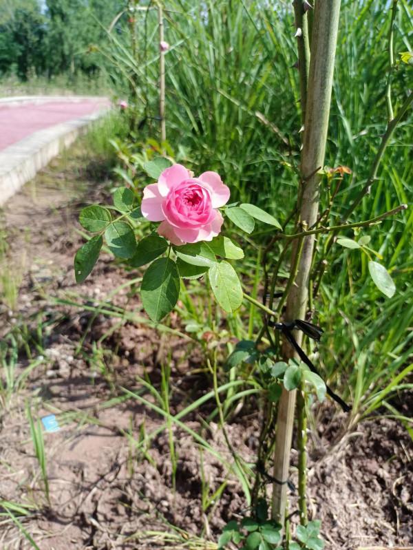 你知道四川盆地的盆底在哪嗎? 你知道四川盆地的盆底在哪嗎?