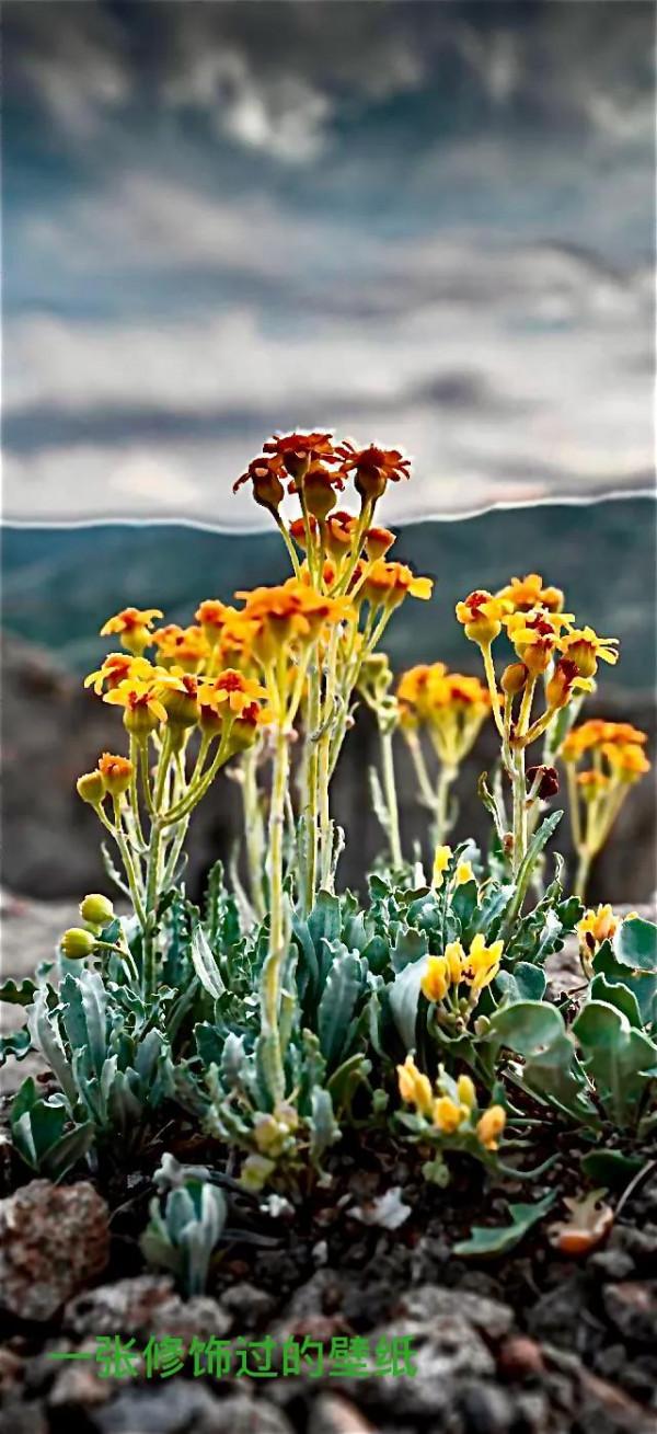 蘋果手機自帶修圖功能的強大,你知道嗎? 蘋果手機自帶修圖功能的強大,你知道嗎?