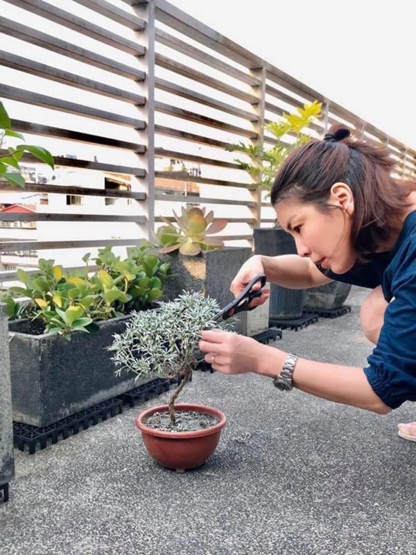 39歲閃婚的許茹芸,愛情觀好通透 39歲閃婚的許茹芸,愛情觀好通透