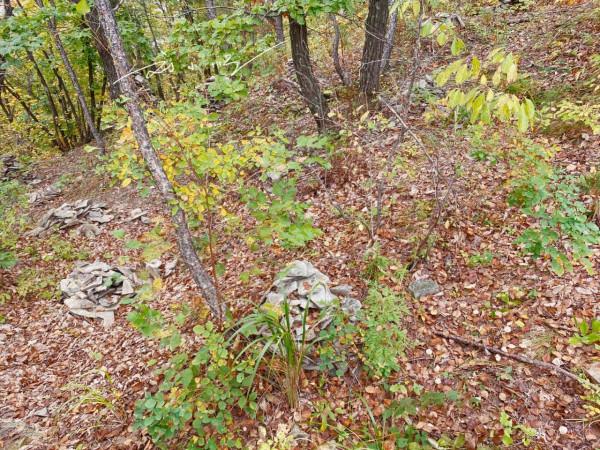 遊客在吉林延邊旅遊,發現山上好多石頭堆,不禁疑惑:這是什麼? 遊客在吉林延邊旅遊,發現山上好多石頭堆,不禁疑惑:這是什麼?