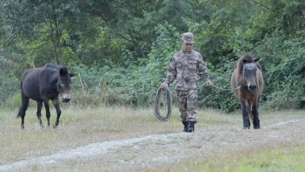 “老班長，這應該是我軍旅生涯最後一次來看你……”老兵們的告別，看哭了……