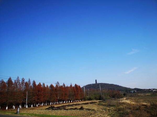 女釣手冬釣養成記
