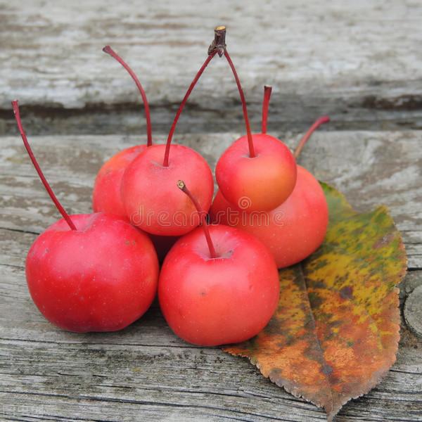 2022年運——天枰座（上升或者太陽）