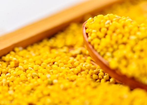 讓孩子健康成長，增長智力，提高學習能力的飲食方案