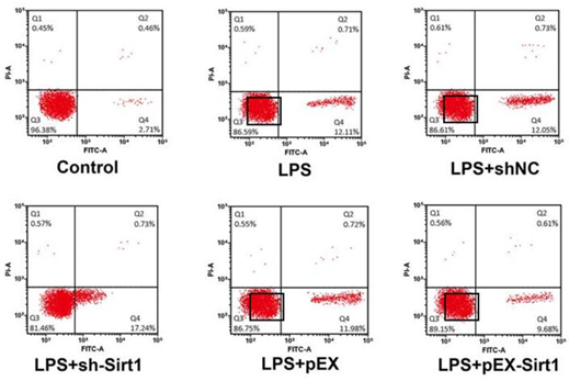 山東大學附屬濟南市中心醫院和濱州醫科大學醫院發表的SCI被撤回 山東大學附屬濟南市中心醫院和濱州醫科大學醫院發表的SCI被撤回