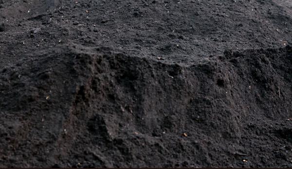 售價上百元的養花土,在家就能自己配,一點都不比買來的差 售價上百元的養花土,在家就能自己配,一點都不比買來的差