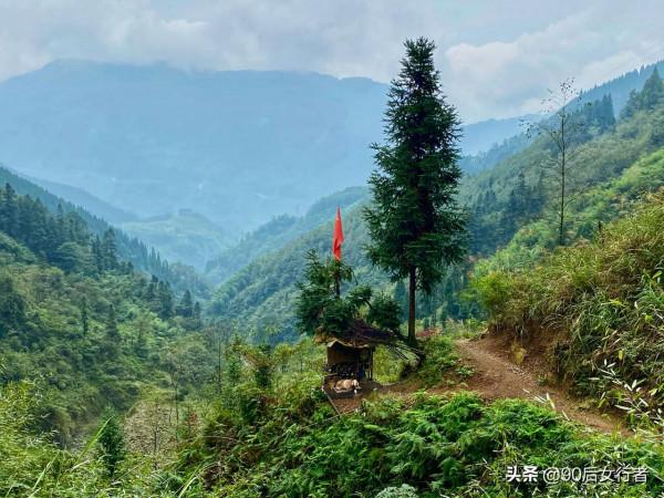 距成都80多公里的冷門徒步勝地，山中風景原始，古道滄桑古廟深藏