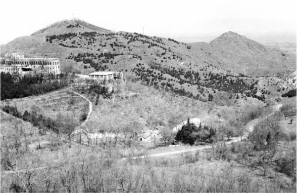 “文化碑林 綠色生態”——首都綠色文化碑林建設歷程回顧 “文化碑林 綠色生態”——首都綠色文化碑林建設歷程回顧