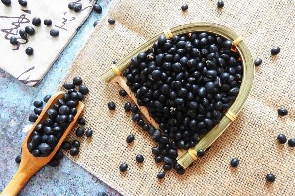 身體有病吃什麼好？這裡有答案！