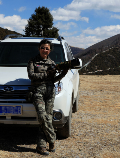 「雲南生物多樣性數字化百科圖譜」夜鷺：換一個髮型，你就不認識我了？