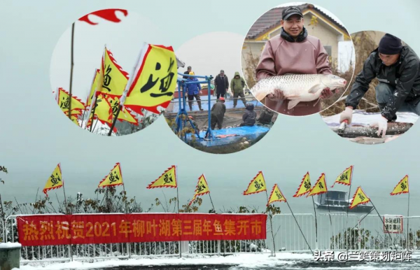 銀裝素裹的世界！冬季到柳葉湖來看雪