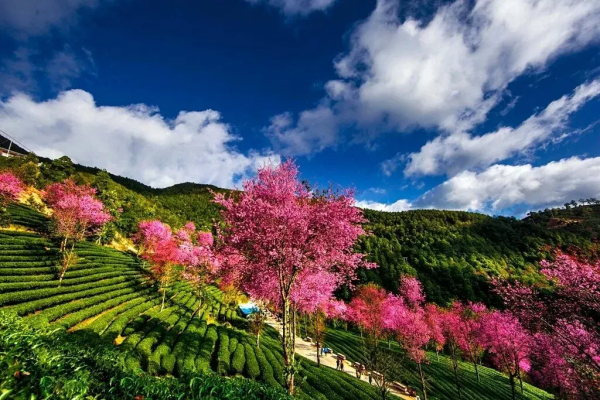 12月旅行推薦：10個人少景美的地方，用旅行給2021畫上句號吧