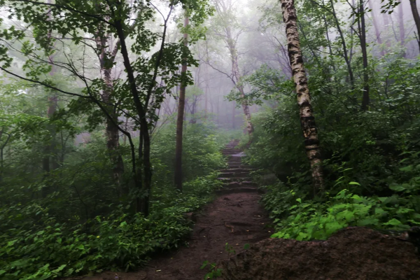 北京喇叭溝原始森林景區將於11月8號閉園 來年4月我們相約杜鵑花海 北京喇叭溝原始森林景區將於11月8號閉園 來年4月我們相約杜鵑花海