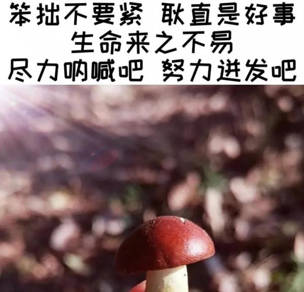 社恐的自救方法：如果你沒有什麼好話，就什麼也別說