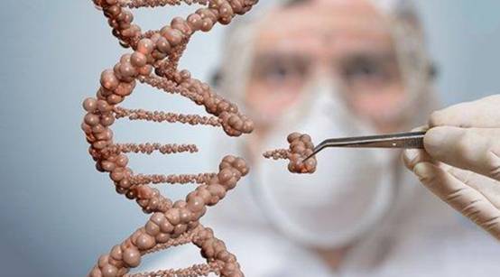 河豚也有轉基因？日本又推出基因編輯食品，專家稱很安全，靠譜嗎