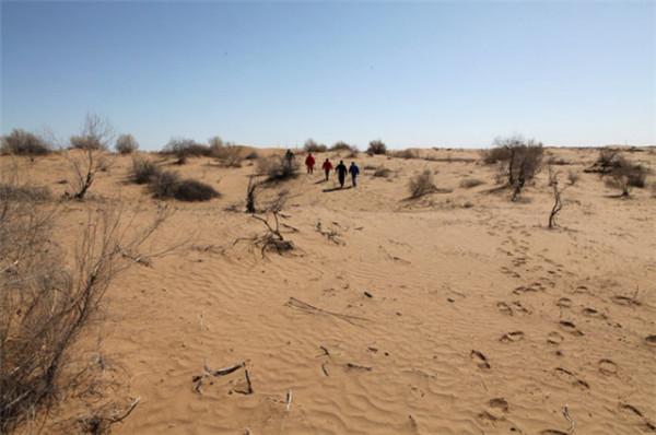 土庫曼:亞洲唯一的“永久中立國” 土庫曼:亞洲唯一的“永久中立國”