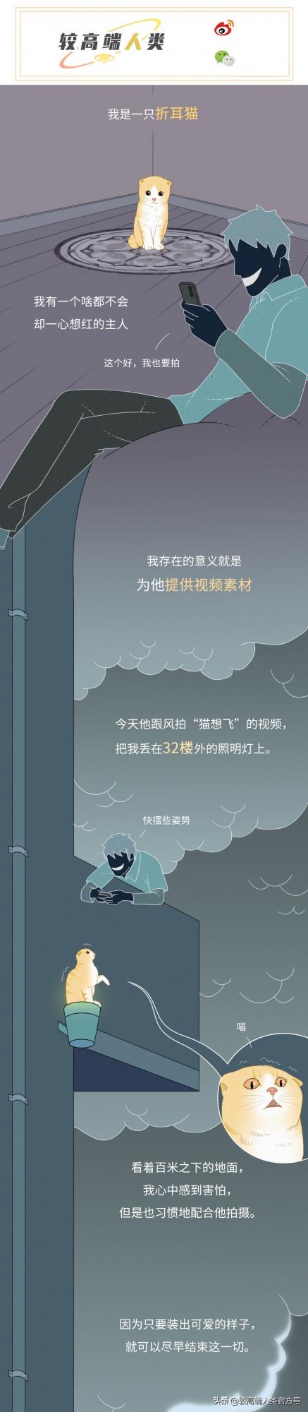 要遭受多少虐待,才能成為一隻網紅貓? 要遭受多少虐待,才能成為一隻網紅貓?