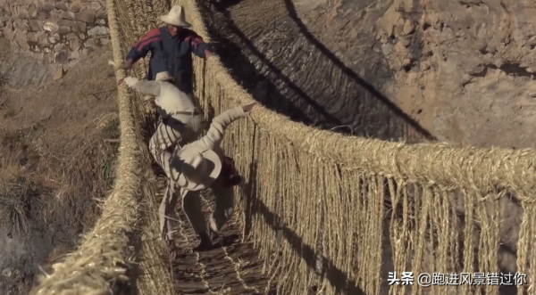 世界上最獨特的繩索橋,500年來當地人堅持用“草繩”造橋 世界上最獨特的繩索橋,500年來當地人堅持用“草繩”造橋