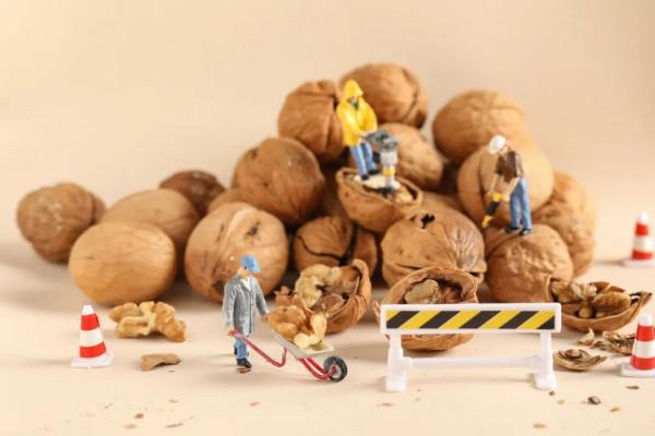 哪些食物最“補腦”？別隻知道吃核桃